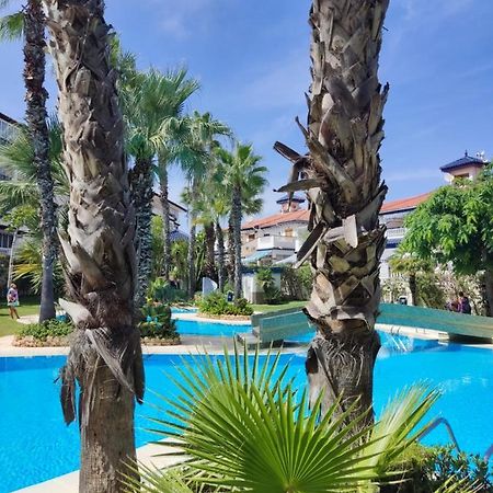 Sunny Apartment Costa Blanca Ла-Мата Екстер'єр фото